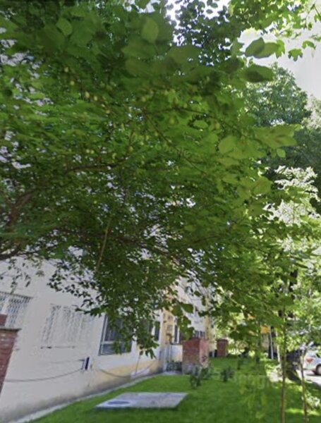 Obor, Mihai Bravu langa Primaria Sectorului 2